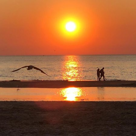 Villa Aan Zee Noordwijk Εξωτερικό φωτογραφία