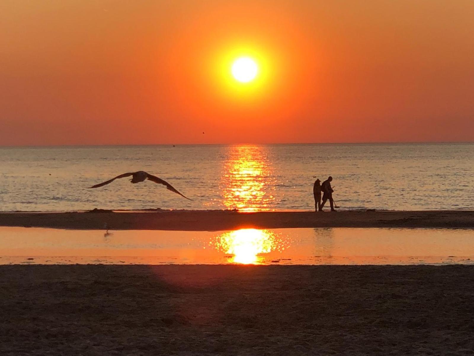 Villa Aan Zee Noordwijk Εξωτερικό φωτογραφία